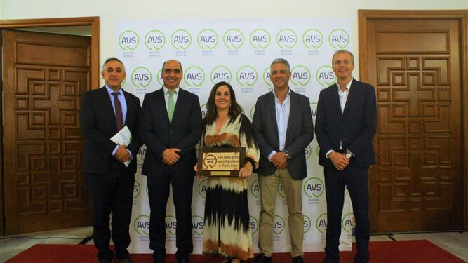 Málaga recibe el premio AVS a la mejor actuación en la administración y gestión de vivienda social