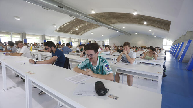 Alumnos realizan un examen de selectividad en la Universidad Pablo de Olavide.