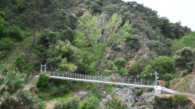 Nuevo puente en el sendero de Matagallar.
