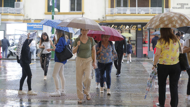 las imágenes de la lluvia en Sevilla