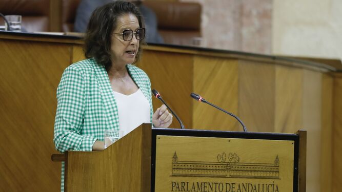 La consejera de Salud, Catalina García en el pleno del Parlamento andaluz esta mañana.