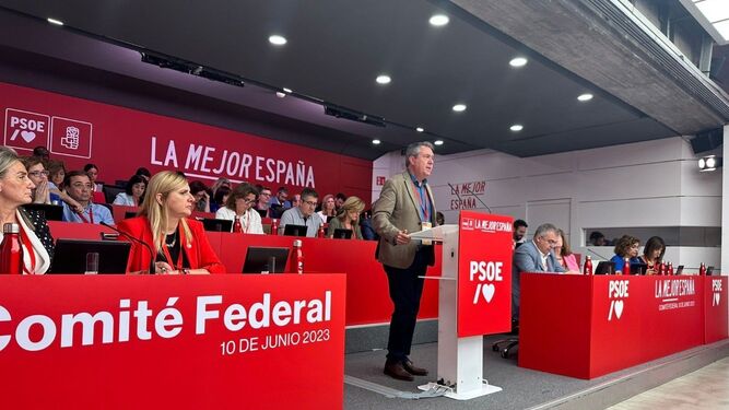 El secretario general del PSOE-A, Juan Espadas, durante su intervención en el Comité Federal.