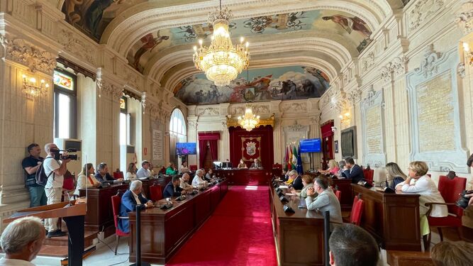 Pleno extraordinario de trámite y despedidas en Málaga