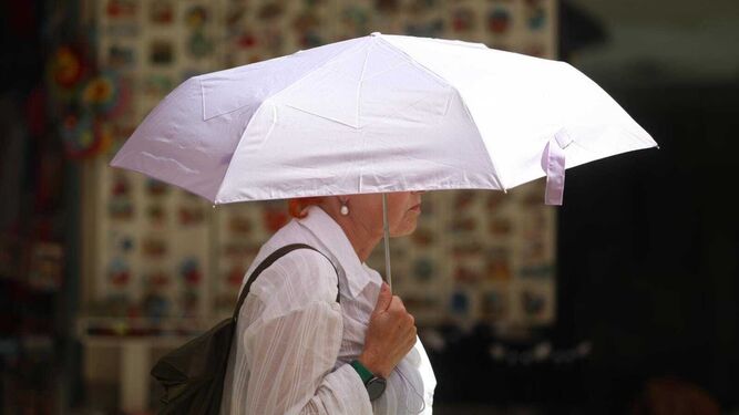Una persona se cubre del calor con un paraguas estos días en Málaga