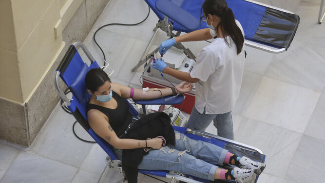 Imagen de archivo de una donación de sangre en Málaga capital