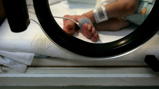 Un recién nacido en una incubadora.