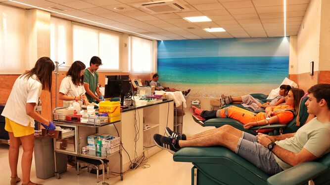 Personas donando sangre, este lunes, en el Centro de Transfusión de Málaga.