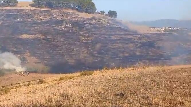Declarado un incendio forestal en Pizarra