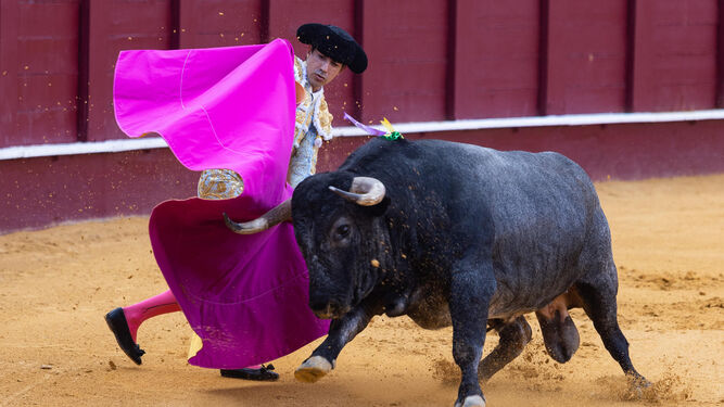 El matador José Antonio Lavado, que este sábado toma la alternativa, durante la lidia de su primer toro.