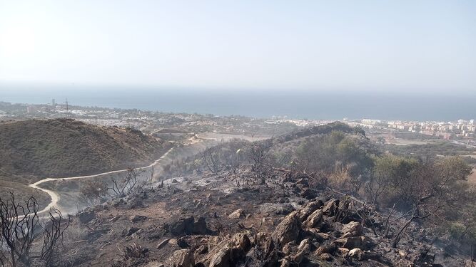 Paraje de Ojén afectado por el incendio.