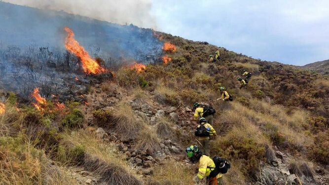 Efectivos del Plan Infoca tratando de sofocar las llamas en el incendio de Benahavís.