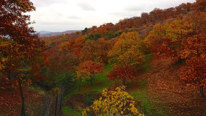 El Valle del Genal, destino imprescindible en otoño