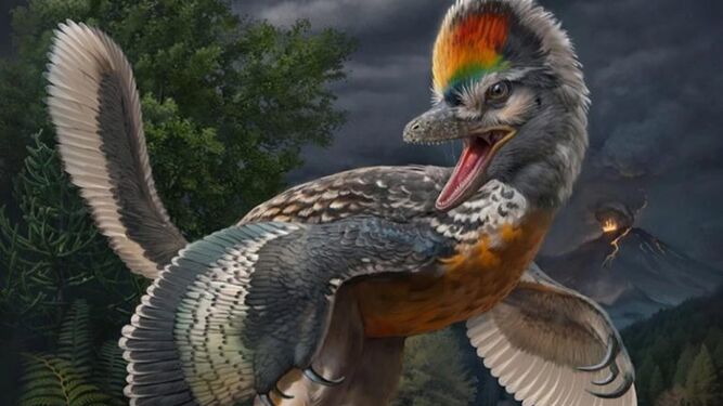 El excepcional hallazgo de un fósil aviano, el eslabón perdido entre los dinosaurios y las aves