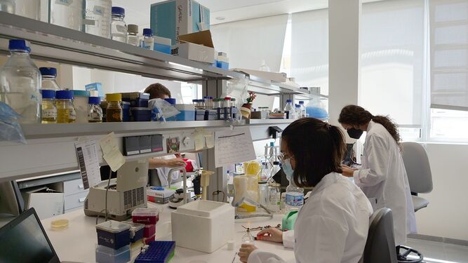Nuevos jóvenes investigadores, en la plantilla de la Universidad de Málaga.