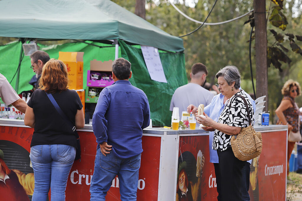 Im&aacute;genes de la convivencia carnavalera del Parque Moret en Huelva