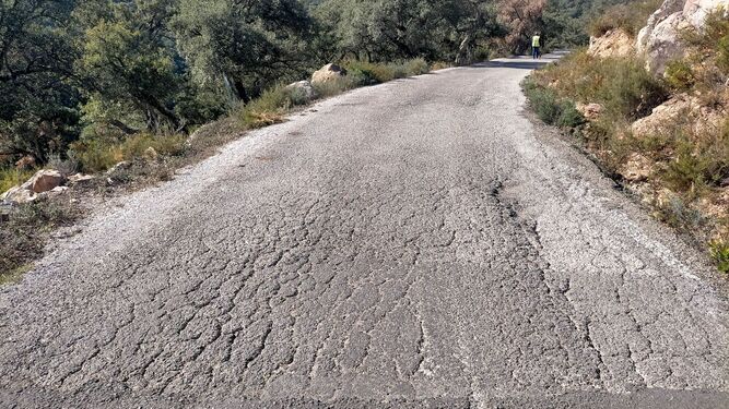 La pista forestal entre Cortes  y El Colmenar que arreglará la Diputación de Málaga