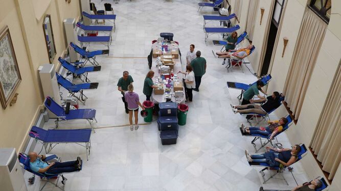 Imagen de la Maratón de Donación de Sangre en el Ayuntamiento de Málaga