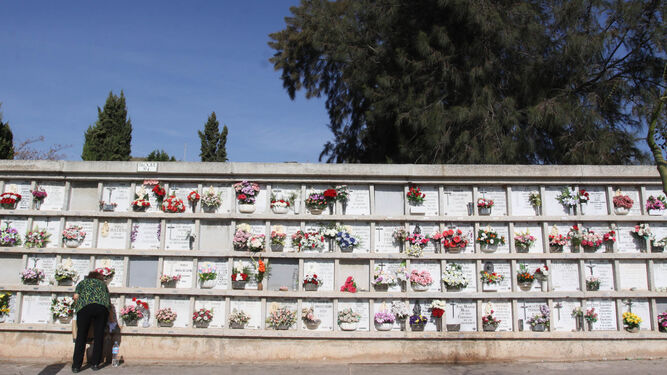 Flores en un cementerio de Málaga capital.
