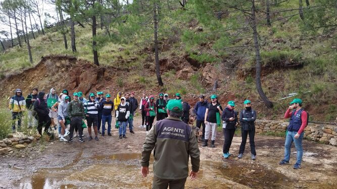 Voluntarios en la reforestación de Sierra Bermeja con la iniciativa Cascos Verdes