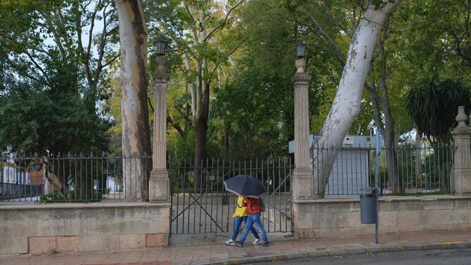 El paseo arbolado y jardín botánico de la Alameda del Tajo en Ronda permaneció cerrada por el temporal