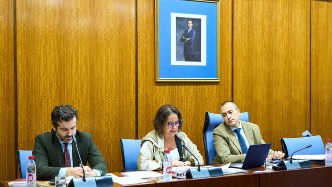 La consejera de Salud en la Comisión del Parlamento andaluz que comenzó el debate sobre sus presupuesos.
