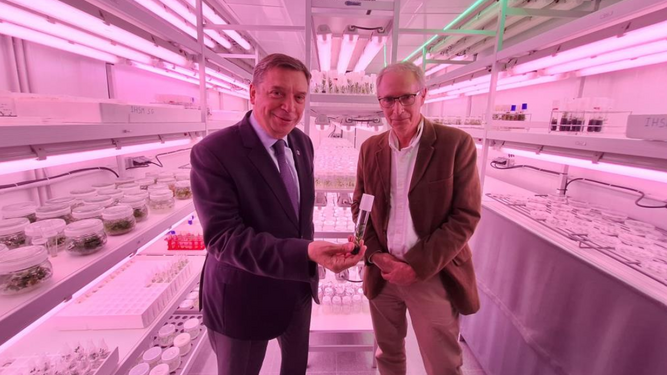 El ministro de Agricultura destaca la labor de La Mayora de Málaga por la competitividad agrícola