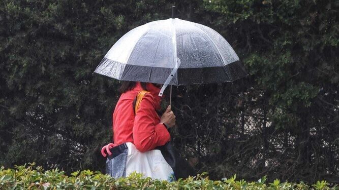 Un mujer protegiéndose de la lluvia en Málaga, en una imagen de archivo.