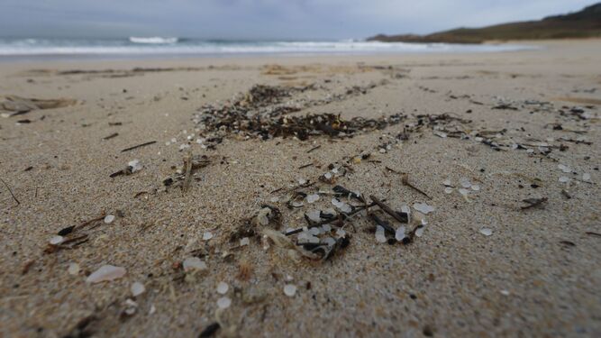 Los pellets se acumulan en las playas gallegas.
