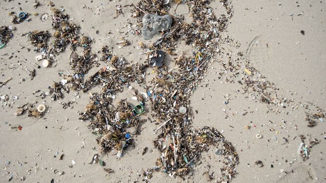 Plásticos, microplásticos y otros residuos en la orilla de una playa.