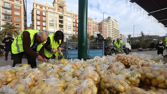 Agricultores reparten 3.000kg de limones en Málaga en denuncia por “la ruina” de los costes de producción