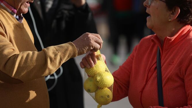 Ciudadanos recogiendo bolsas de limones en una acción anterior de los agricultores en Málaga.