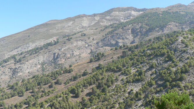 Vista de Sierra Tejeda