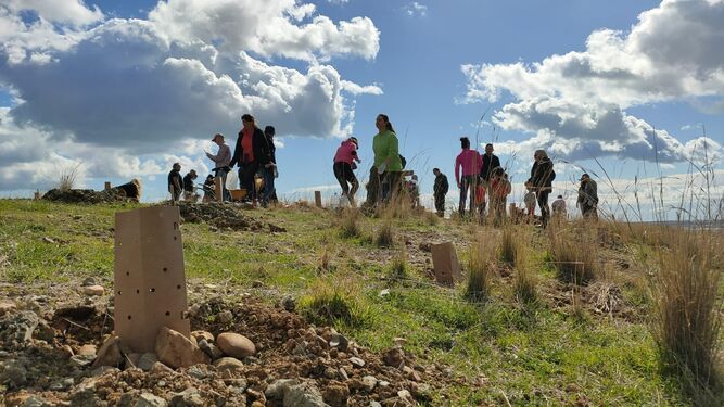 Voluntarios reforestando el antiguo vertedero de los Asperones.