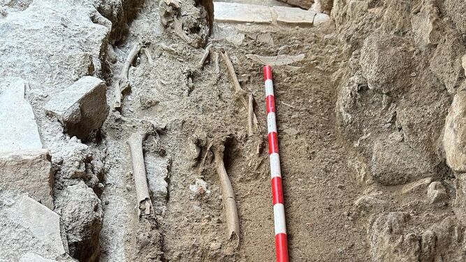 Los restos humanos que han sido descubiertos en el yacimiento