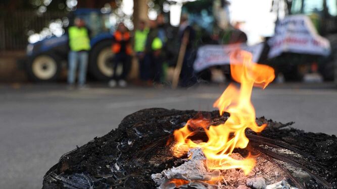 Un neumático ardiendo en la protesta de los agricultores en Málaga.