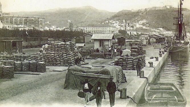 Lonas cubriendo algunas cargas en el puerto de Málaga.