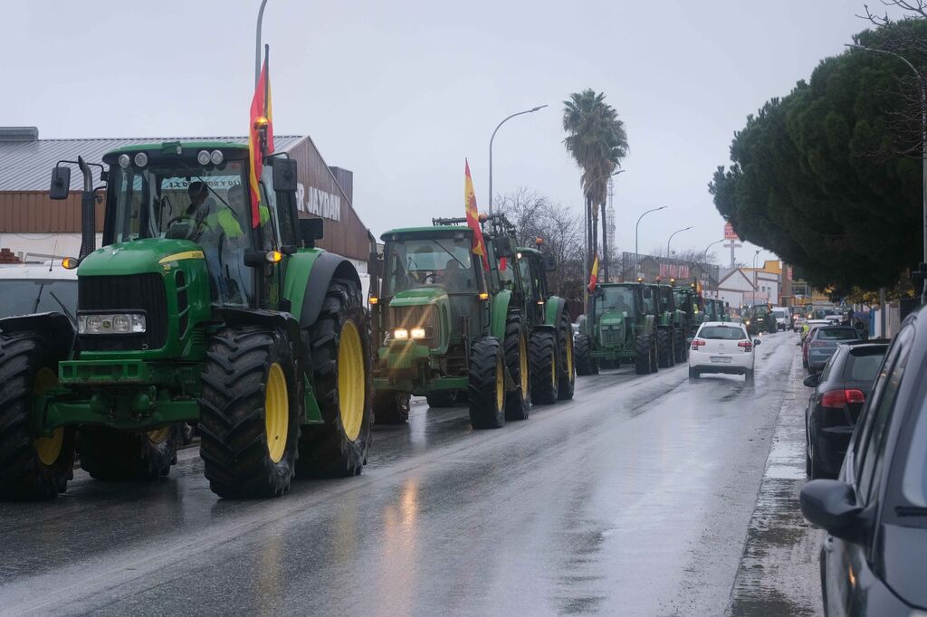 Ronda, epicento de las tractoradas de los agricultores este lunes