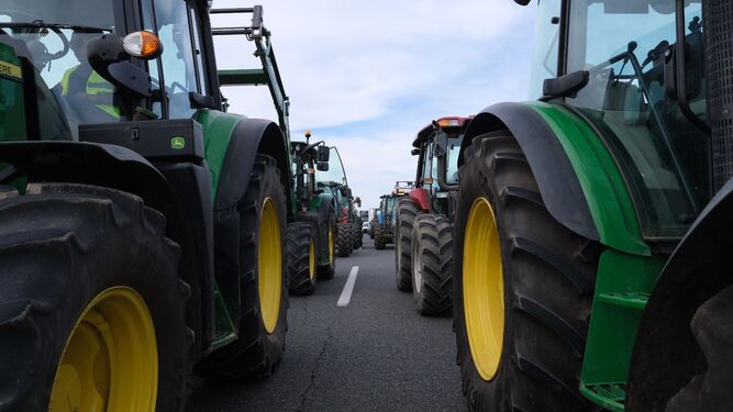 Tractorada en Málaga, la manifestación de los agricultores