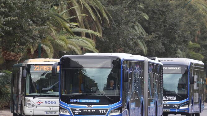 Autobuses urbanos de Málaga capital