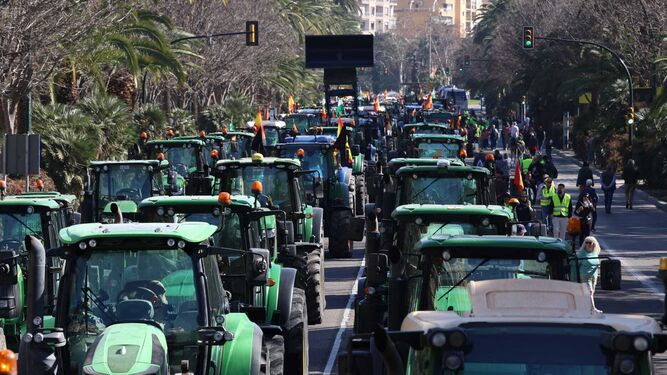 Agricultores toman el centro de Málaga.