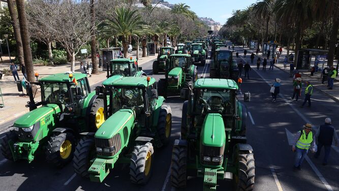 La entrada de los tractores en Málaga capital, en fotos
