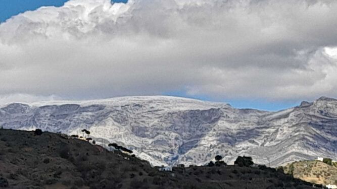 La nieve cubre las cimas más altas de las Sierras Tejeda y Almijara en la Axarquía