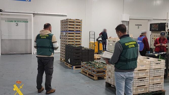 Cae un grupo criminal acusado de estafar 130.000 euros a empresas hortofrutícolas de Málaga y Almería