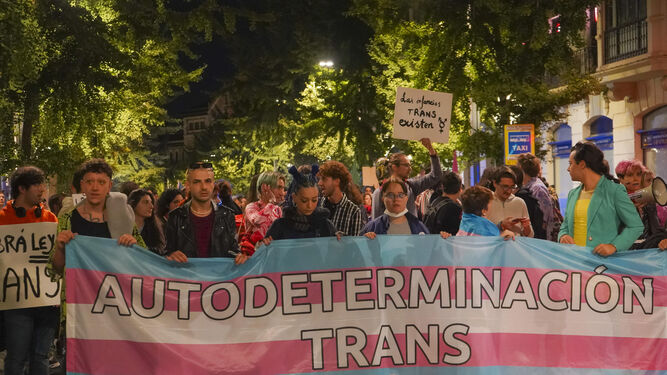 Manifestación por los derechos del colectivo trans.