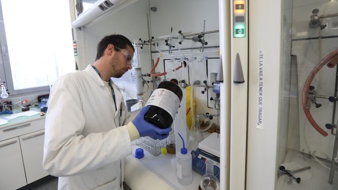 Un profesional trabajando en un laboratorio de Ibima.