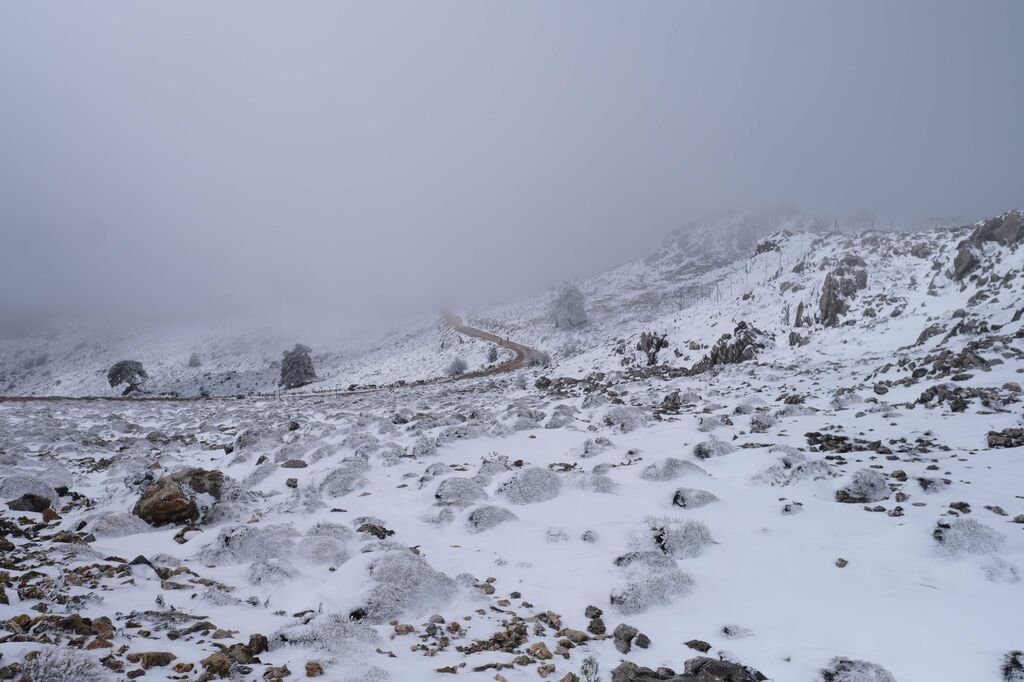 La nevada en la Sierra de las Nieves, en fotos.