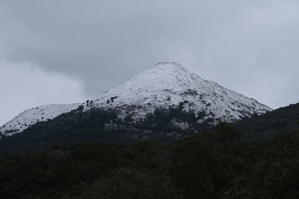 La nueva nevada  en el Parque Nacional Sierra de las Nieves, en fotos