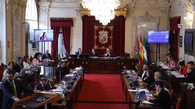 Pleno del mes de marzo del Ayuntamiento de Málaga.