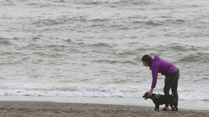 Una mujer jugando con su perro  en una playa  de la capital.
