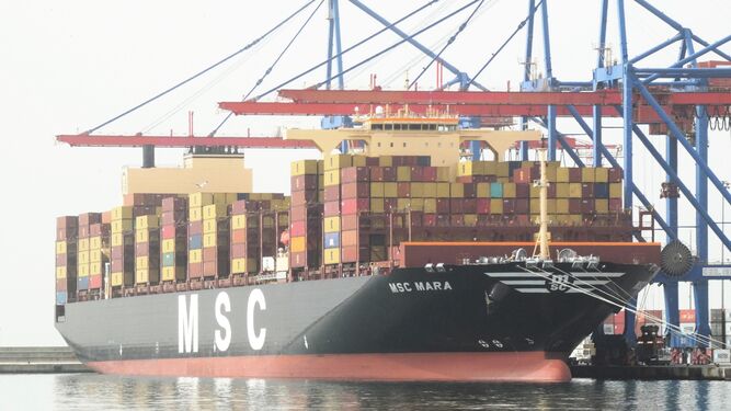Portacontenedores 'MSC Mara' de 364 metros atracado hace unos días en el puerto de Málaga.